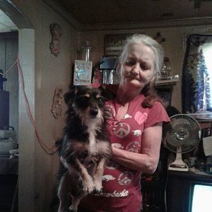 Meet your Posher, Brenda